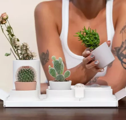 Hapticforms_Be my ritual (36)