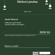 christmas voucher_cz_3000 green